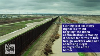  Former AG Dept official: Biden regulations crushing farming industry, ‘backbone’ of America