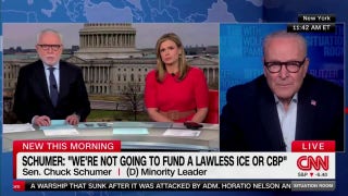 Chuck Schumer says DHS shutdown is not 'political posturing'