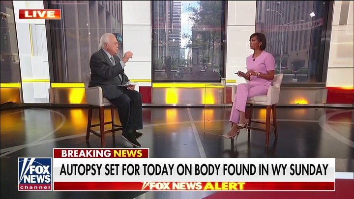 Insects on body found in Wyoming may provide clues in Gabby Petito case, says Dr. Baden