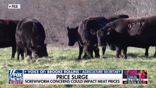 USDA confirms second New World screwworm case in Texas cattle