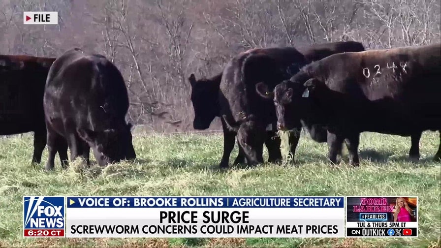 USDA confirms second New World screwworm case in Texas cattle