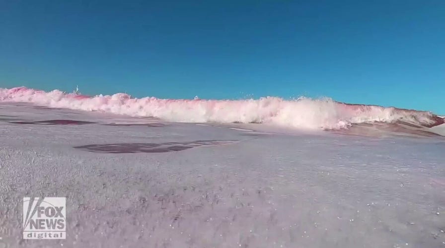 Pink dye experiment: Researchers turn ocean pink for science
