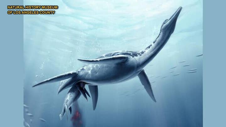 Fossil of 'real-life Loch Ness Monster' found in Antarctica
