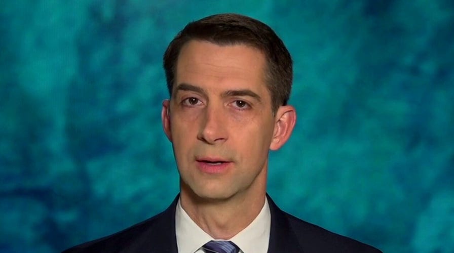 Cotton compares Colorado to Georgia, slams Dems' 'slanderous claims' over election law