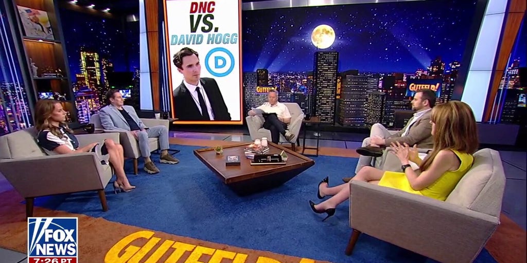 DNC's David Hogg taking on Democrats is ‘the biggest gift to Republicans ever,’ says strategist