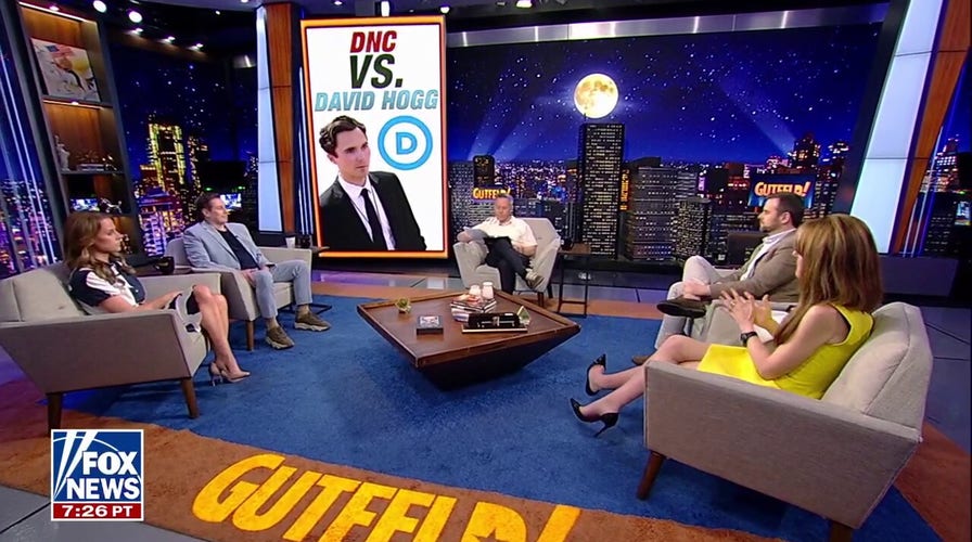 DNC's David Hogg taking on Democrats is ‘the biggest gift to Republicans ever,’ says strategist