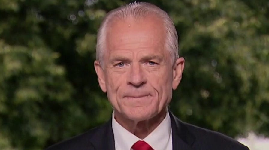 Peter Navarro on Trump administration efforts to hold China accountable for coronavirus pandemic
