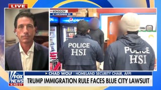New York City leads in lawsuits over Trump immigration rule