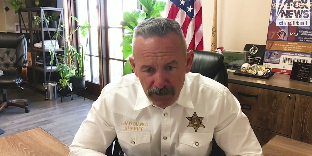 ‘Truly disgusting’: CA Sheriff blasts Democrat self defense bill he says will embolden criminals in the state
