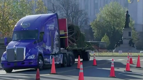 A cross-county trip with the Capitol Christmas Tree
