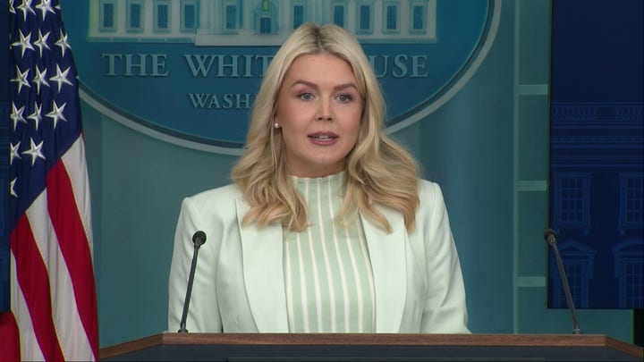 White House slams Dems amid ongoing DHS shutdown, pain it is inflicting