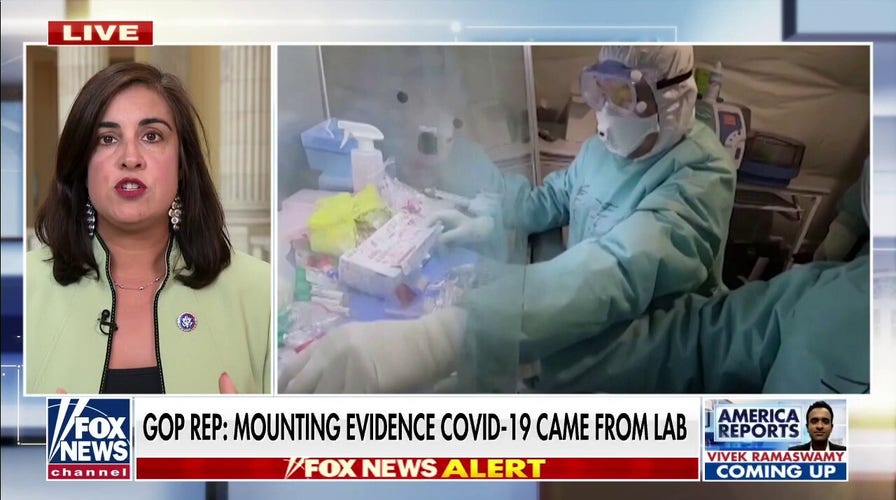 Rep. Malliotakis: 'Mounting evidence' showing that COVID originated in Wuhan lab