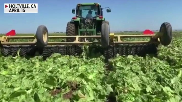 How COVID-19 pandemic affects farmers &amp; America's food supply