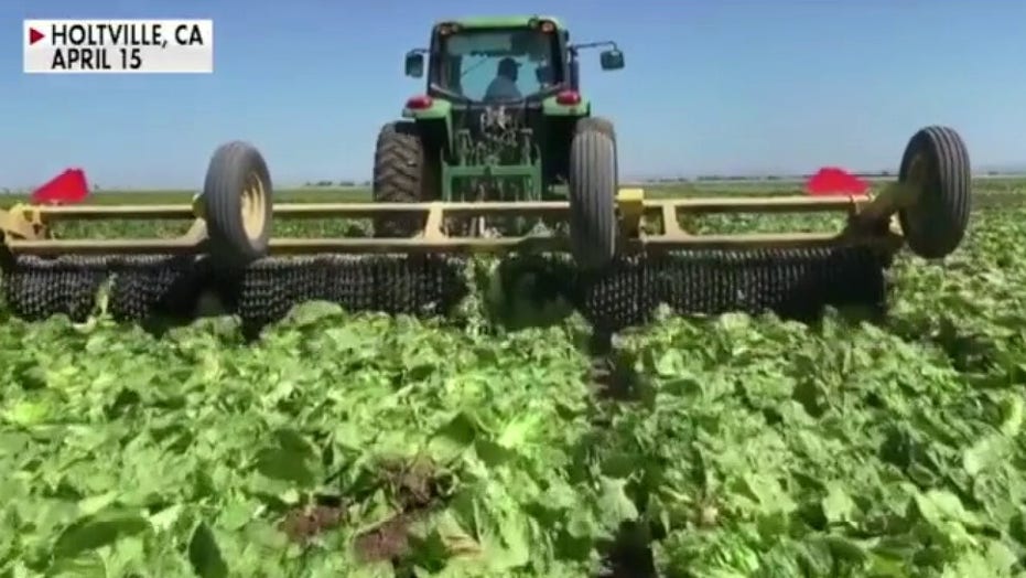 Coronavirus relief USDA to buy 470 million in surplus food for