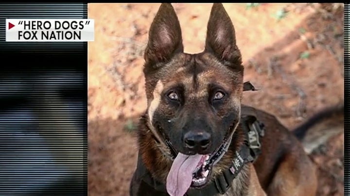 Staff Sgt. Alex Schnell on serving with his war dog ‘Bass’