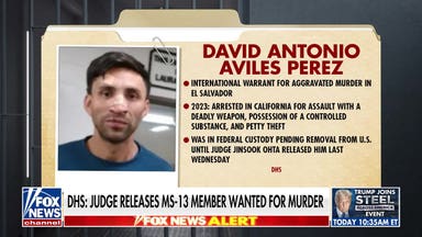DHS general counsel slams judge's release of MS-13 member wanted for murder