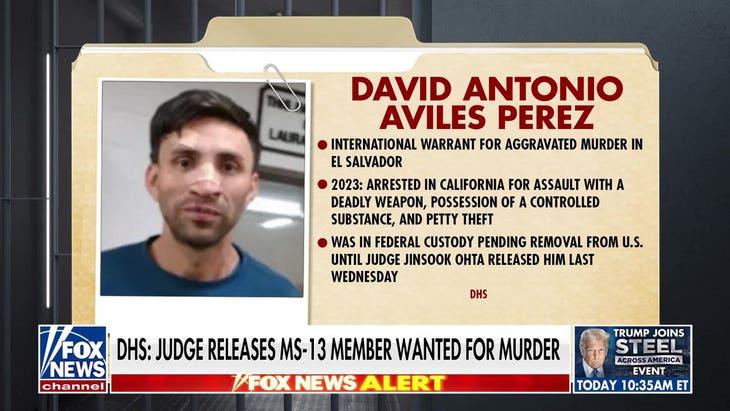 DHS general counsel slams judge's release of MS-13 member wanted for murder