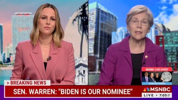 Elizabeth Warren repeatedly says Biden has 'big decision to make' in MSNBC interview