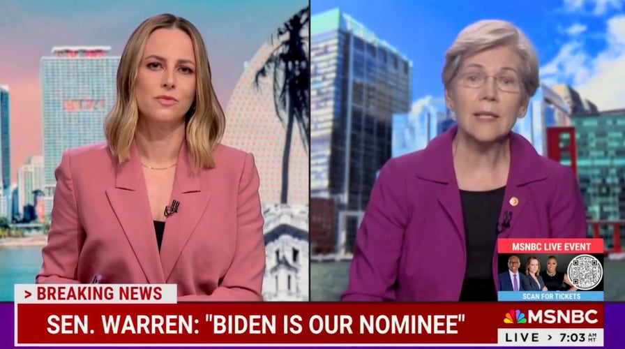 Elizabeth Warren repeatedly says Biden has 'big decision to make' in MSNBC interview