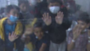 Brandon Judd: Kamala Harris can't visit southern border because fixing issues would 'go against her base'