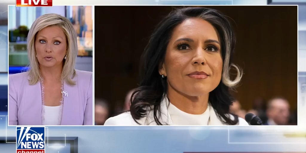 Tulsi Gabbard releases documents on Fauci, alleged COVID cover-up