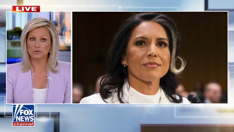 Tulsi Gabbard releases documents on Fauci, alleged COVID cover-up