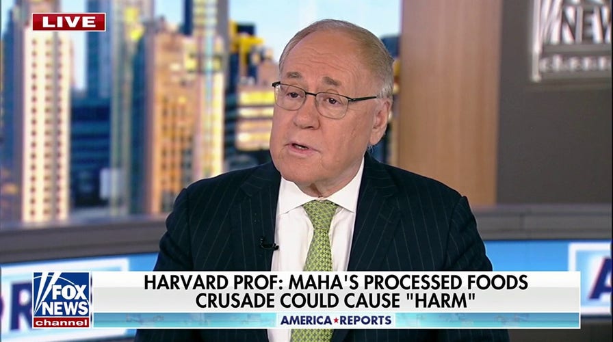 Harvard professor argues MAHA movement's push against processed foods may do more harm than good