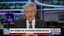 Newt Gingrich: The DSA’s platform wants to ‘replace America’ 