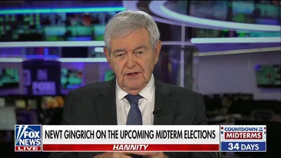 Newt Gingrich: The DSA’s platform wants to ‘replace America’