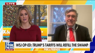 Economic expert reveals a 25% tariff on Canada and Mexico is ‘unlikely’ - Fox News