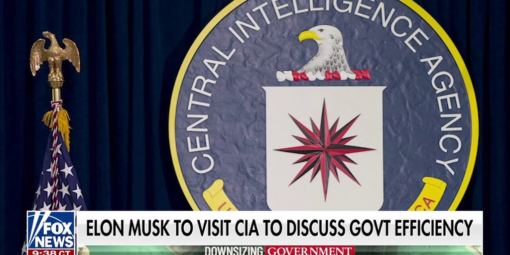 CIA director invites Musk to the agency to discuss government efficiency