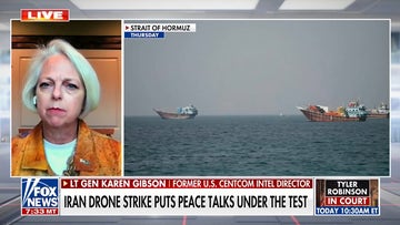 Lt. Gen. Karen Gibson on Iran's 'calibrated' cargo ship attack