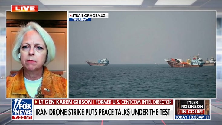Lt. Gen. Karen Gibson on Iran's 'calibrated' cargo ship attack