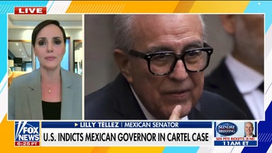 Mexican Senator Tellez slams government's alleged cartel ties, refusal to extradite officials