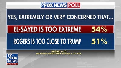Poll shows Mike Rogers has edge in Michigan Senate race