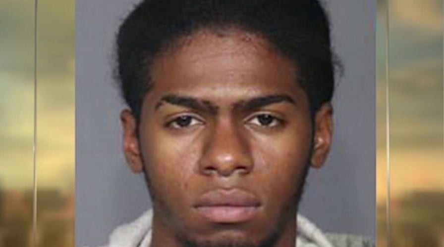 Illegal immigrant released by police 10 times