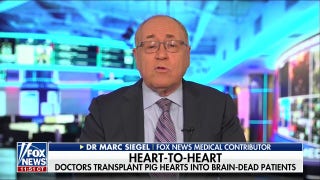 NYU Langone surgeons successfully transplant pig hearts into humans - Fox News
