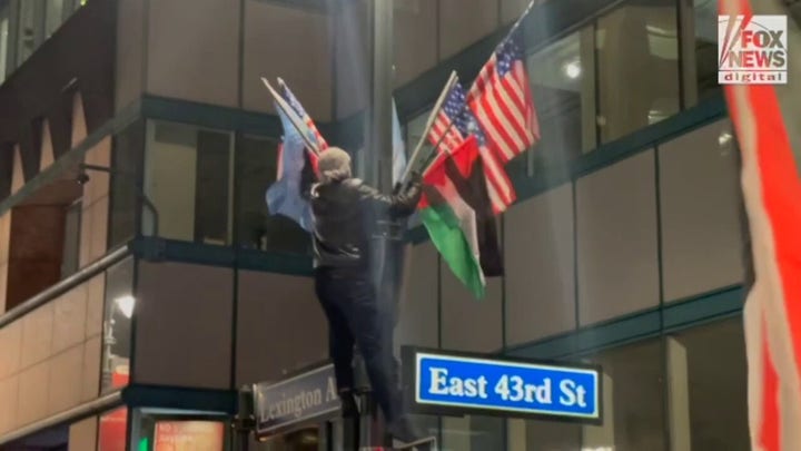 Pro-Palestinian protester arrested after tearing down American flags in New York City
