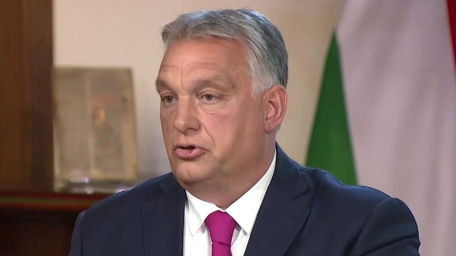 Viktor Orban’s victory in Hungary an ‘example’ for the Western world, legal philosopher says