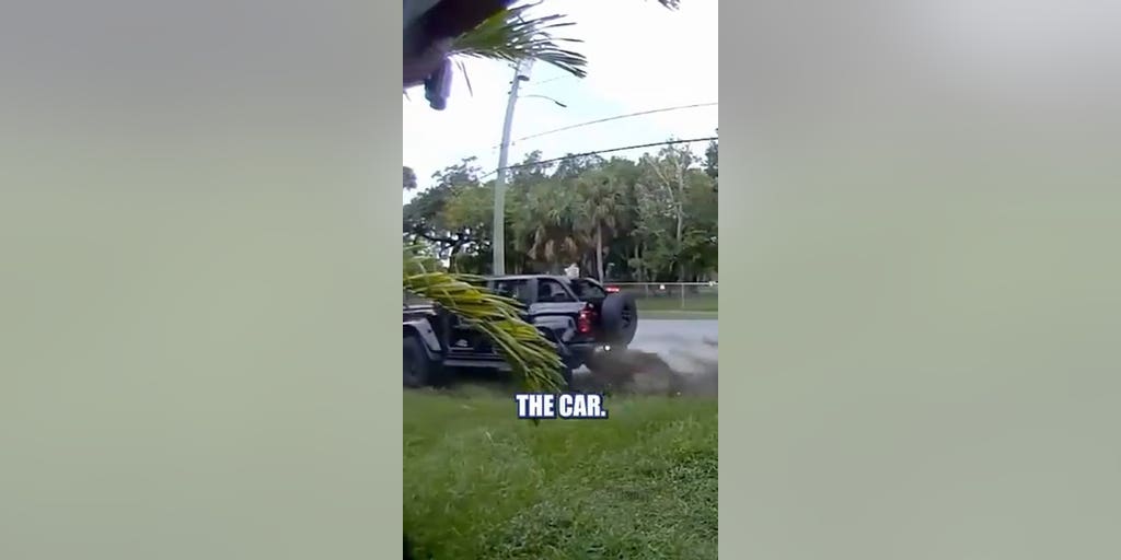 DUI suspect CRASHES SUV, tells police 'I thought we were all friends'