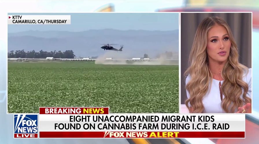 Tomi Lahren: Democrats are for those who ‘break the law’