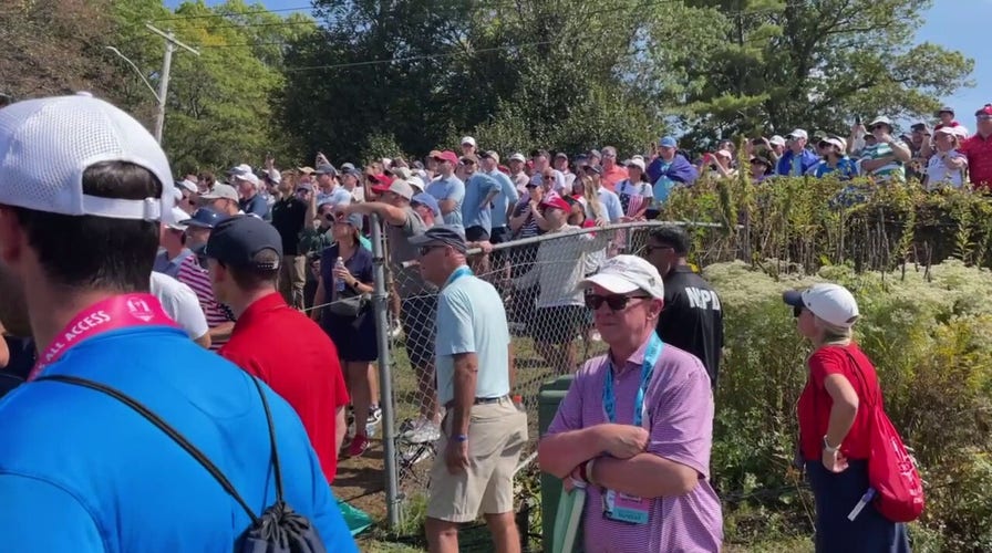 Police confront fan after yelling expletives at Rory McIlroy