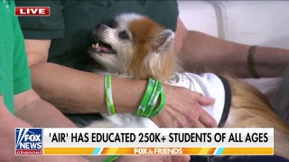 'AIR' therapy program uses dogs to connect with students