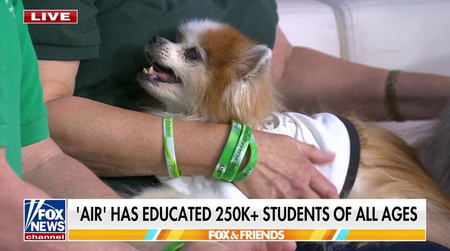 'AIR' therapy program uses dogs to connect with students