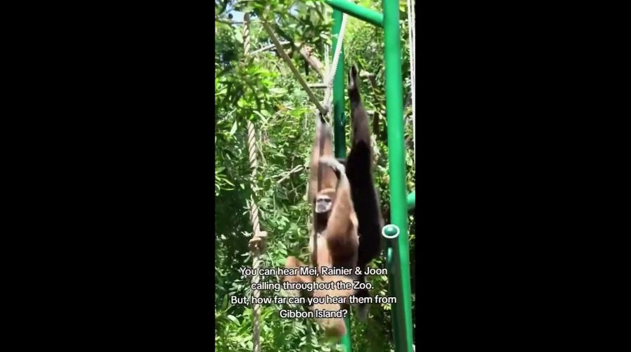 Zoo animals can be heard over a mile away from the park