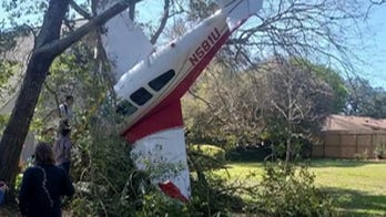 Kansas father, son and dog aboard small plane walk off 'without a scratch' after crash landing into tree in Florida: cops
