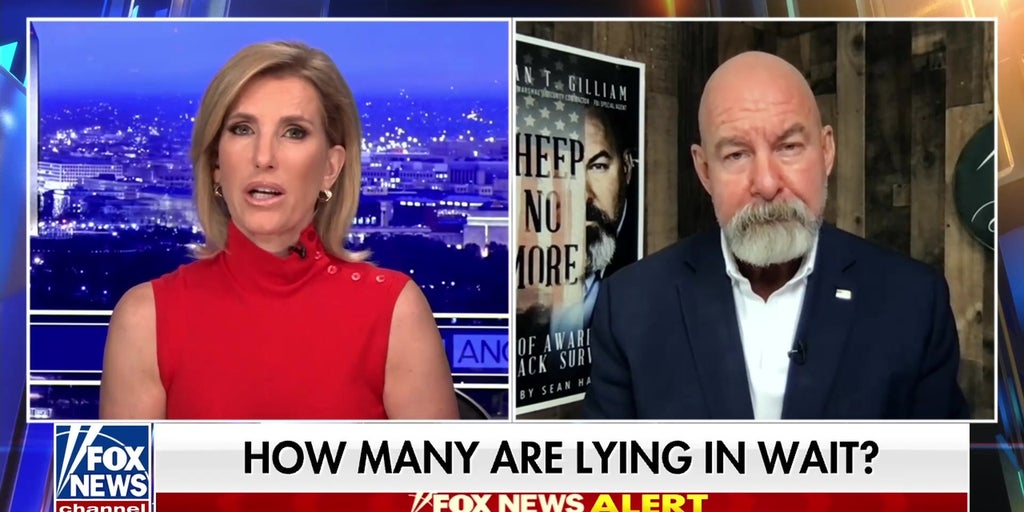 ABC refers to alleged NYC terror suspects as ‘activists’