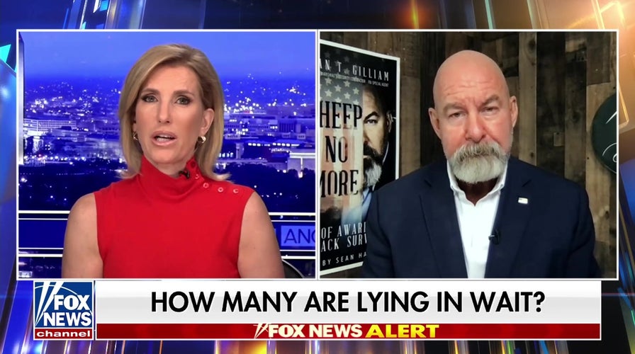 ABC refers to alleged NYC panic  suspects arsenic  ‘activists’ 