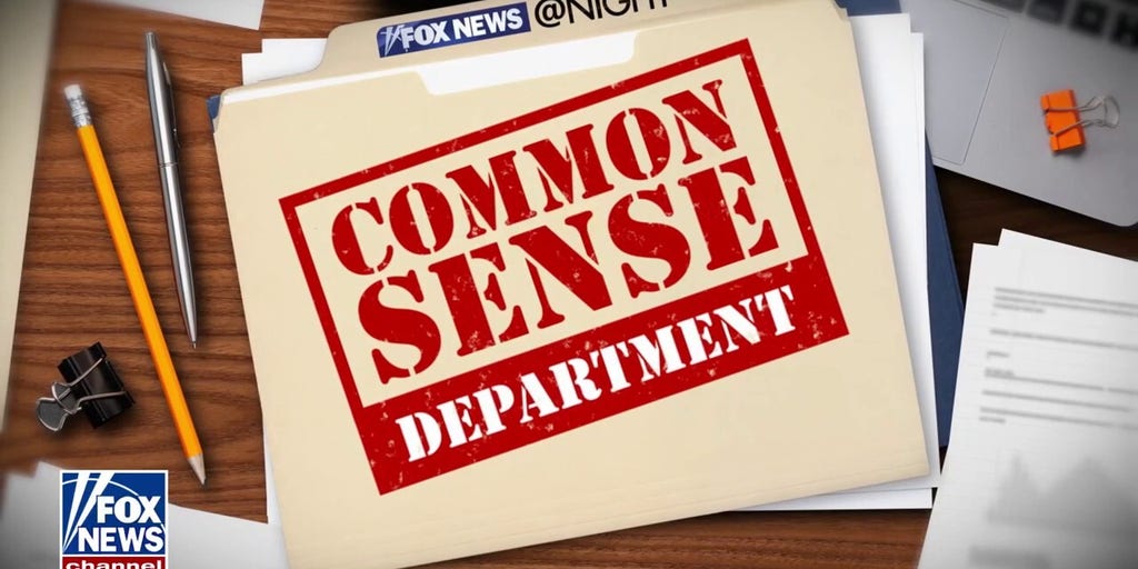 Trace Gallagher: America without ICE is very, very messy