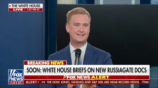 Trump releases additional Russiagate files amid 'burn bag' claims